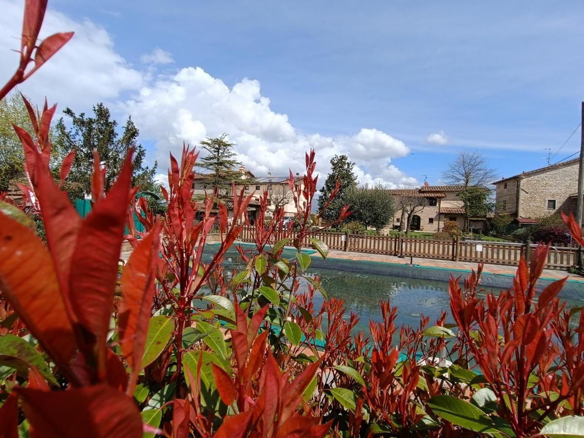 Podere Casenove Citerna Exteriér fotografie