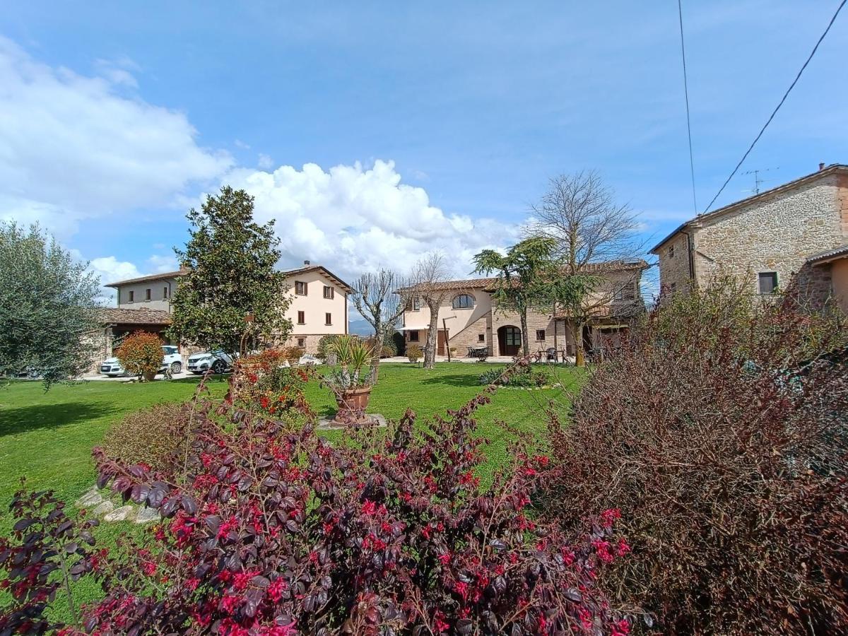 Podere Casenove Citerna Exteriér fotografie